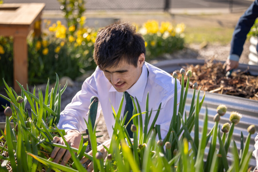 Middle School student in Kitchen Garden.